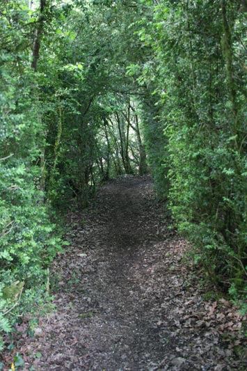 Sentier du Lébérou