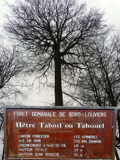 Forêt de Bord