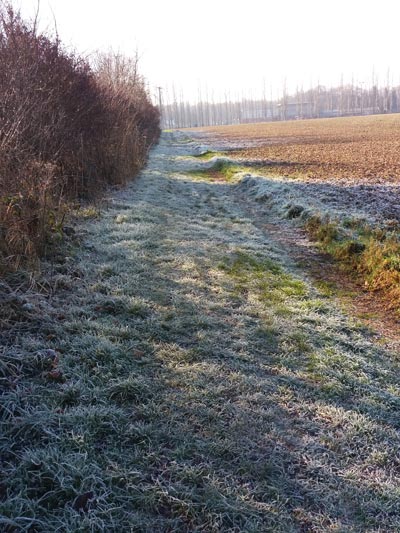 Chemin du Stade et du Parc