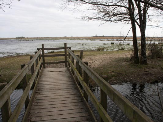 Marais de Brière