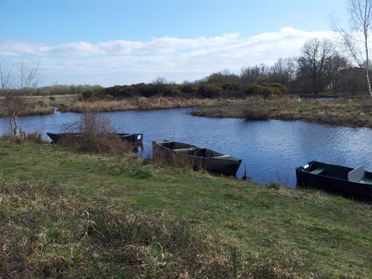 Marais de Brière