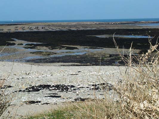 Côte de Jade