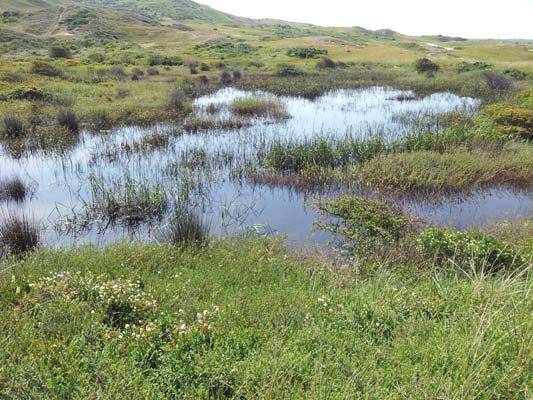 Dunes de Biville