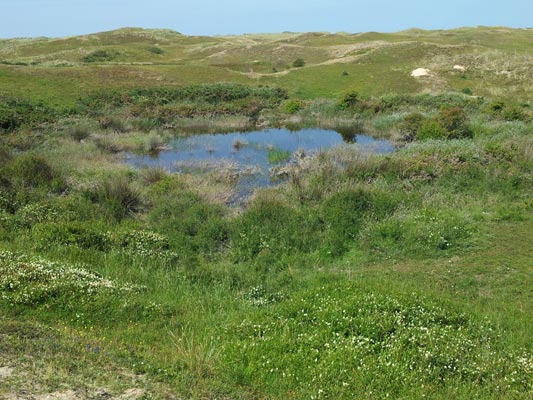 Dunes de Biville