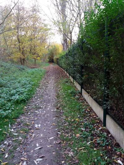 Jardin public et forêt