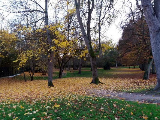 Jardin public et forêt