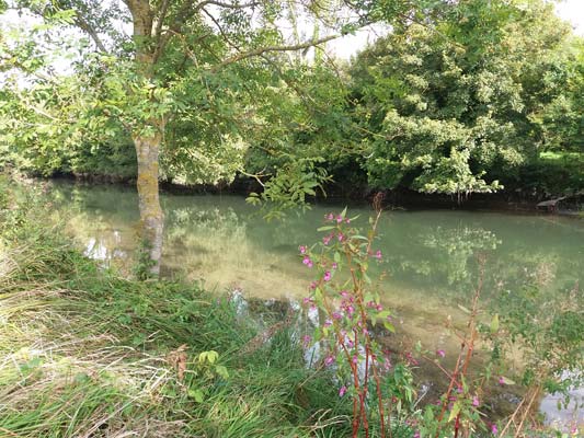 Marais du Tréport